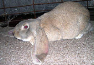 dscn2139.jpg